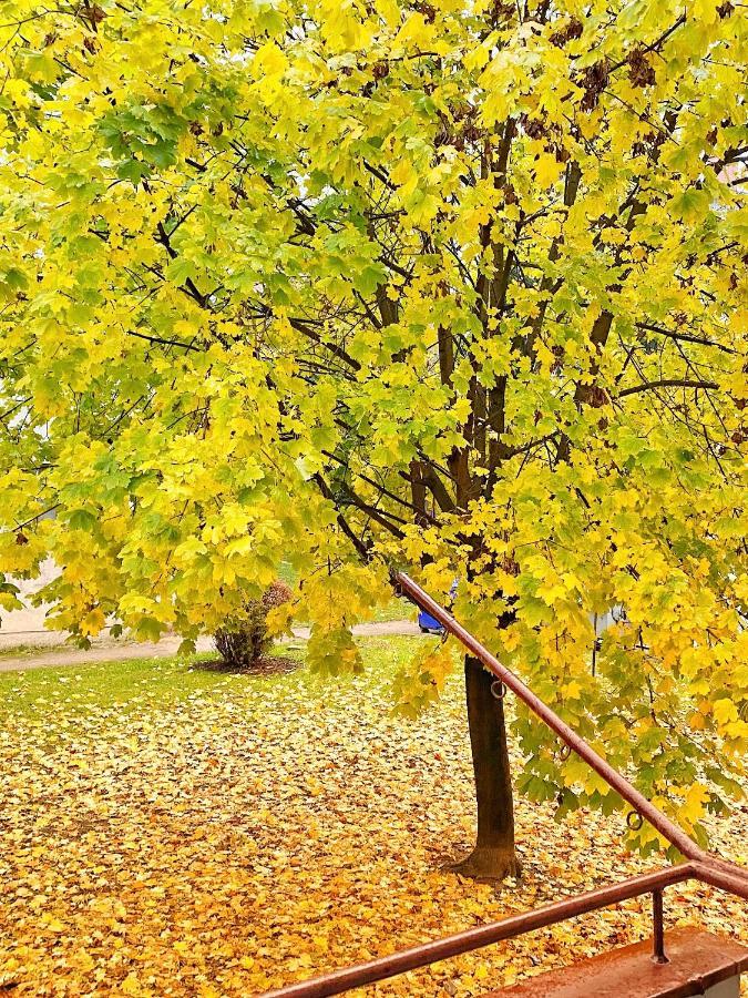 Astoria Lägenhet Varaždin Exteriör bild